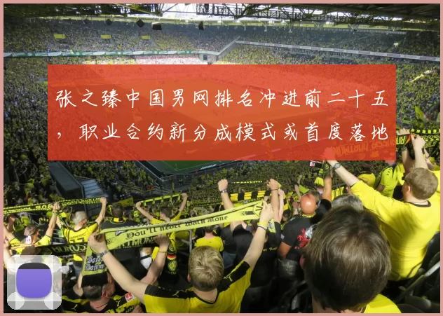 张之臻中国男网排名冲进前二十五,职业合约新分成模式或首度落地