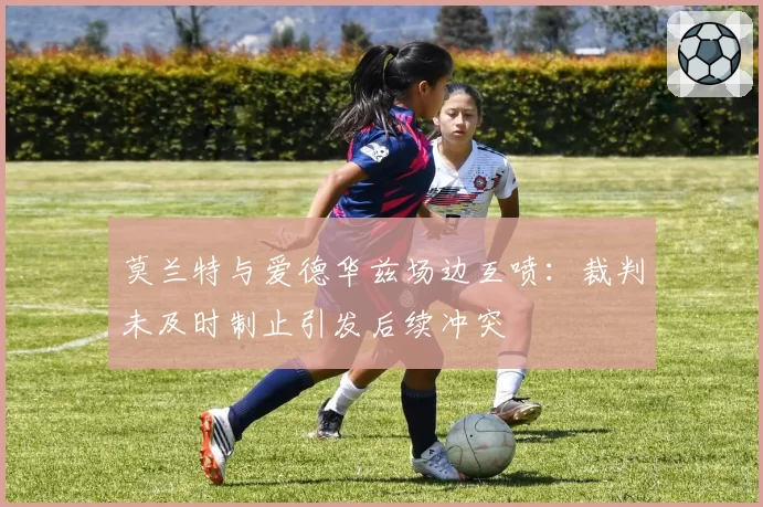莫兰特与爱德华兹场边互喷:裁判未及时制止引发后续冲突