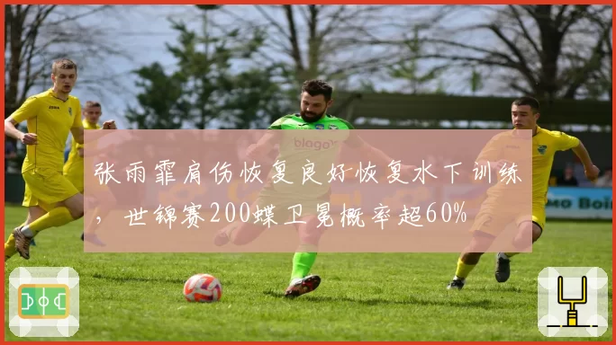张雨霏肩伤恢复良好恢复水下训练，世锦赛200蝶卫冕概率超60%